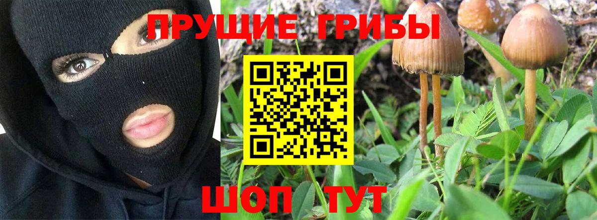 Галлюциногенные грибы MAGIC MUSHROOMS  Вход с VPN  Кропоткин 